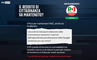 reddito cittadinanza posizioni partiti partito democratico