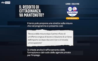 reddito cittadinanza posizioni partiti azione italia viva