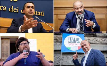 Elezioni, da Di Maio a Paragone: i flop di candidati e partiti. FOTO