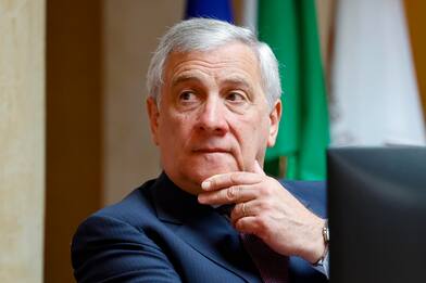 Vertice Alicante, Tajani: "Migrazione è problema globale"