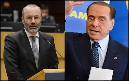 Ppe cancella evento a Napoli dopo parole di Berlusconi sull'Ucraina