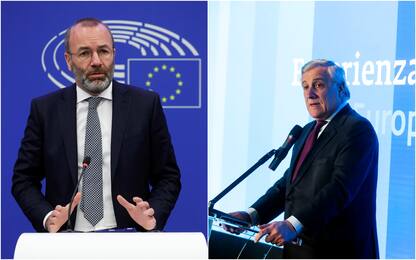 Tajani: "Ho chiarito con Weber. Nessuna rottura Fi-Ppe"
