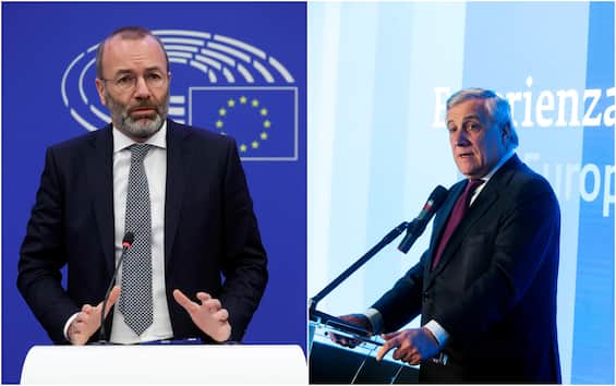 Tajani: “I clarified with Weber. No Fi-Ppe breakup, incident closed”