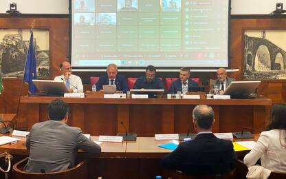 Taxi, le proposte del governo: licenze aggiuntive e agevolazioni green