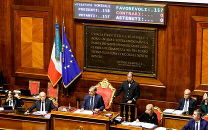 Ddl contro violenza di genere, ok dal Senato: è legge