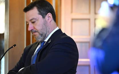 Salvini chiama Trump: Lo vedrò in estate, perseguitato come Berlusconi