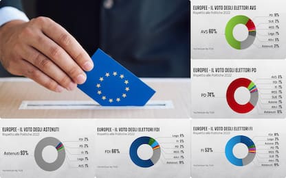 Europee, come si sono spostati i voti tra i partiti dalle Politiche