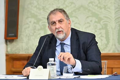 Chi è Fabio Ciciliano, il nuovo capo della Protezione Civile