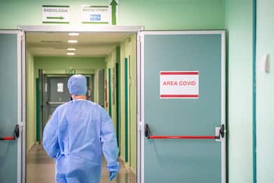 Rinnovo contratto sanità: per gli infermieri aumenti fino a 170 euro