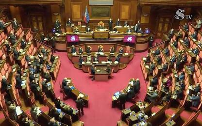 Senato, lungo applauso a Casellati per anniversario presidenza. VIDEO