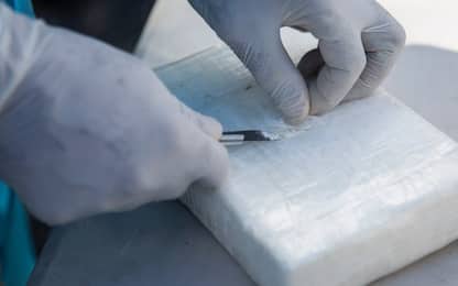 Torino, arrestato con quasi 800 grammi di cocaina