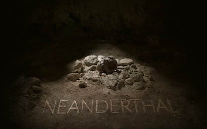 San Felice Circeo, scoperti i resti di nove uomini di Neanderthal