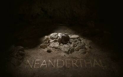 San Felice Circeo, scoperti i resti di nove uomini di Neanderthal