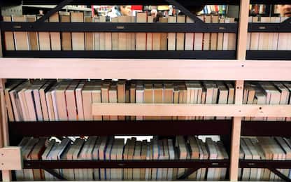 Pirateria dei libri in crescita, mancato fatturato da 771 milioni