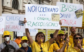 La manifestazione ''Peste suina #bastacinghiali'' organizzata della Coldiretti in piazza SS Apostoli, Roma, 27 maggio 2022. ANSA/MASSIMO PERCOSSI