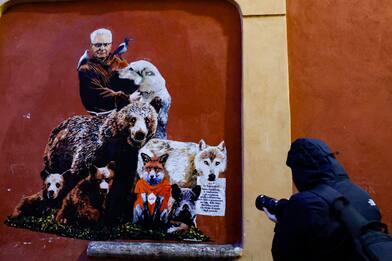 Roma, spunta murale con Mattarella contro la caccia selvaggia. FOTO