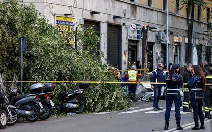 Roma, cade albero per il forte vento: morta una donna