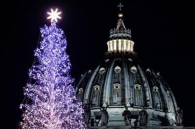 Vaticano, accesi l'albero e il presepe in piazza San Pietro. FOTO