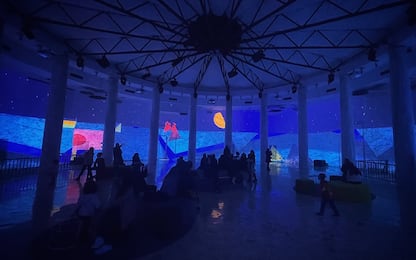 Artika, al Salone delle Colonne di Roma la mostra immersiva sull'acqua