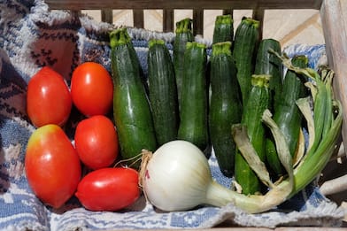 Frutta e verdura di stagione: cosa comprare a giugno