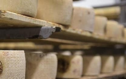 Inventato il formaggio per i pazienti con insufficienza renale