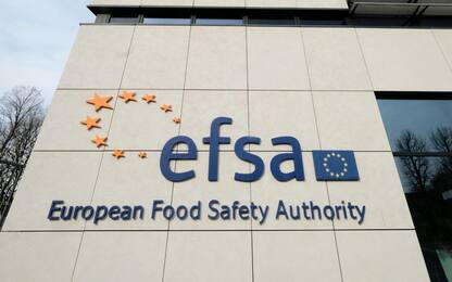 Tarme della farina essiccate come alimento, arriva l'ok dell'Efsa