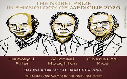 Premio Nobel per la Medicina 2020 assegnato ad Alter, Houghton e Rice