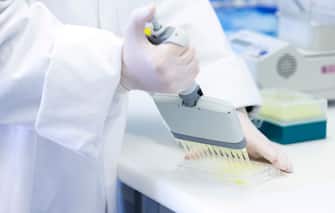 WELLINGTON, NEW ZEALAND - AUGUST 27: A lab technician fills a 96 well plate with antibody tests during a visit to the Malaghan Institute of Medical Research at Victoria University on August 27, 2020 in Wellington, New Zealand. Prime Minister Jacinda Ardern announced that the Government has allocated hundreds of millions of dollars of extra funding from the COVID-19 Response and Recovery Fund, to access a safe and effective COVID-19 vaccine as soon as it becomes available. The funding will enable the Government to secure access to promising vaccine candidates, alongside joining initiatives such as the global COVAX Facility. The Malaghan Institute will help lead efforts to secure a COVID-19 vaccine for New Zealand as part of the newly established Vaccine Alliance Aotearoa New Zealand. (Photo by Hagen Hopkins - Pool/Getty Images)