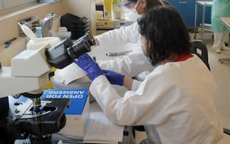 Tecnici al lavoro nel laboratorio dove vengono analizzati i tamponi dei casi sospetti di coronavirus presso l'ospedale di Vizzolo Predabissi, 02 Aprile 2020. Ansa/Andrea Canali