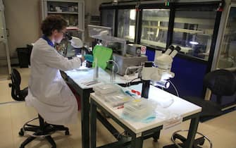 Una donna mentre lavora in un laboratorio