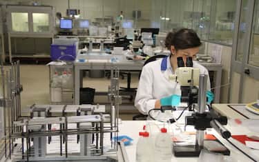 Acne sul viso: allo studio una possibile alternativa agli antibiotici