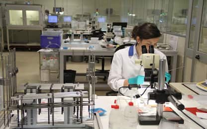 Sviluppati in laboratorio i primi embrioni umani "sintetici"