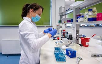Una ricercatrice analizza un campione in laboratorio