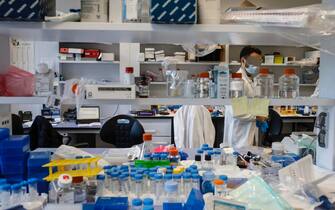 Cosa si sa sul vaccino di Reithera Researchers at work in the ReiThera's laboratories , company is working on second phase of the anti-Covid vaccine named ''GRAd-CoV2'', Castel Romano, outskirts of Rome, on 8 Jannuary 2021. ANSA/FABIO FRUSTACI