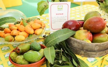 Alte dosi di vitamina A e C: le proprietà del mango descritte dall'AHA