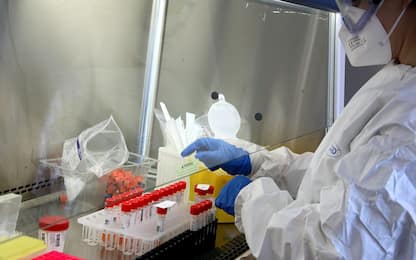 Vaccino anti melanoma, sperimentazione potrebbe partire entro il 2023