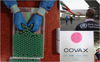 Covid, dall’Iraq al Vietnam: dove sono distribuiti i vaccini italiani