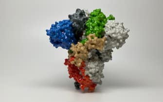 3D print of a spike protein on the surface of SARS-CoV-2 also known as 2019-nCoV, the virus that causes COVID-19. Spike proteins cover the surface of SARS-CoV-2 and enable the virus to enter and infect human cells. For more information, visit the NIH 3D Print Exchange at 3dprint.nih.gov. Credit: NIH