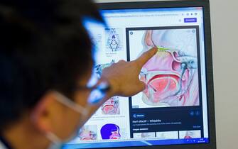 The otolaryngologist doctor Duc Trung Nguyen shows on a computer screen where the olfactory nerves are, at the Nancy university hospital (CHRU) in Vandoeuve-les-Nancy, northeastern France, on October 28, 2020. - Doctor Duc Trung Nguyen works on olfactory rehabilitation with Covid-19-infected patients, as well as all pathologies responsible for olfaction loss. (Photo by JEAN-CHRISTOPHE VERHAEGEN / AFP) (Photo by JEAN-CHRISTOPHE VERHAEGEN/AFP via Getty Images)