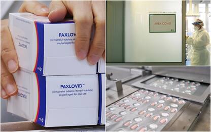 Covid Cina, via libera all'uso “condizionato” pillola Pfizer Paxlovid