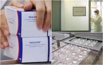 Paxlovid pillola anti Covid