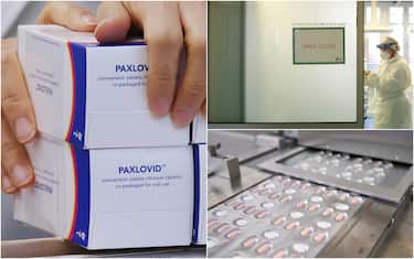 Pillola Paxlovid