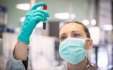 Covid, entro metà anno in arrivo nuovi farmaci: il punto su Nature