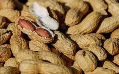 Allergia alle arachidi, studio apre la strada alla cura con microaghi