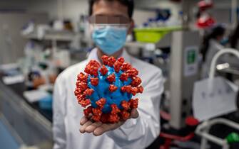 TOPSHOT - In this picture taken on April 29, 2020, an engineer shows a plastic model of the COVID-19 coronavirus at the Quality Control Laboratory at the Sinovac Biotech facilities in Beijing. - Sinovac Biotech, which is conducting one of the four clinical trials that have been authorised in China, has claimed great progress in its research and promising results among monkeys. (Photo by NICOLAS ASFOURI / AFP) / TO GO WITH Health-virus-China-vaccine,FOCUS by Patrick Baert (Photo by NICOLAS ASFOURI/AFP via Getty Images)