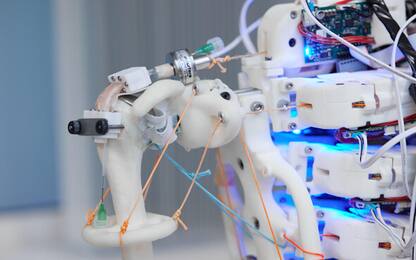Dai robot umanoidi un possibile aiuto nella ricostruzione dei tendini