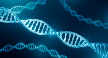 3d illustration of DNA (deoxyribonucleic acid) molecule.