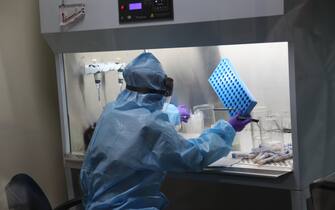 FARIDABAD, HARYANA, INDIA - AUGUST 13, 2020: India ramps up corona virus testing, with over 2.5 million cases and over 50,000 deaths India is fast emerging as a hub for Covid 19. India has 1400 labs that do testing and has done some 30 million tests. The country uses both the RT PCR or Reverse Transcriptase Polymerase Chain Reaction and Rapid Antigen and Antibody tests. On August 13, 2020 researchers were busy conducting hundreds of Corona virus diagnostic tests at the Translational Health Science Technology Institute in Faridabad. Highly bio secure and high biosafety facilities and PPE suits with N 95 masks are used to carry out the complex tests. (Photo by Pallava Bagla/Corbis via Getty Images)
