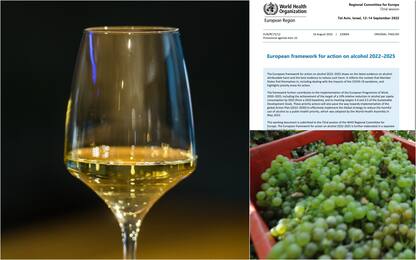 Oms contro il vino: “Fa male”. I produttori: “Nuovo proibizionismo”