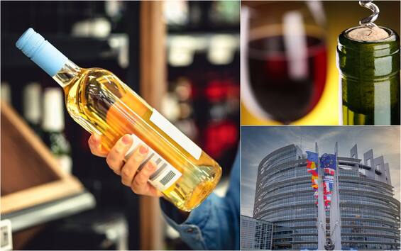 Pensione Saggio Telegrafo Vino Antibiotico Pidgin O Pi Tardi Pogo 